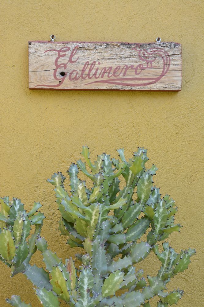 Hotel Casa Catalina San Luis Potosi Exterior photo